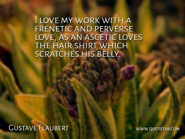 Gustave Flaubert Quote About Hair, Scratches, Shirts: I Love My Work With...