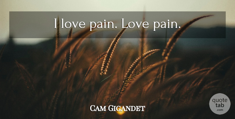 Cam Gigandet Quote About Pain, Love Pain: I Love Pain Love Pain...