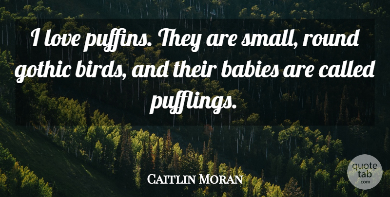Caitlin Moran Quote About Baby, Bird, Puffins: I Love Puffins They Are...