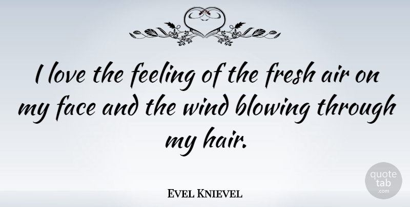 Evel Knievel: I love the feeling of the fresh air on my face and the wind...  | QuoteTab