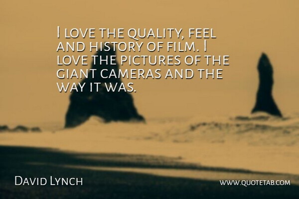 David Lynch Quote About Quality, Way, Cameras: I Love The Quality Feel...