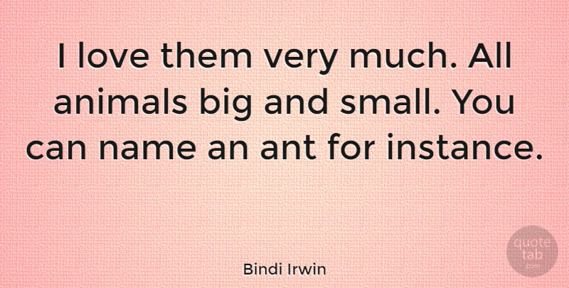 Bindi Irwin Quote About Animal, Names, Ants: I Love Them Very Much...