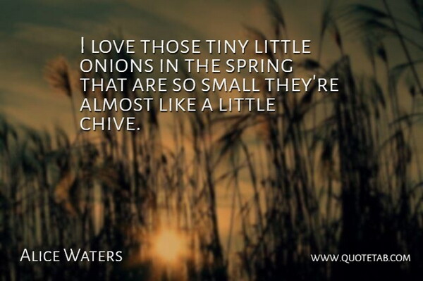 Alice Waters Quote About Spring, Littles, Tiny: I Love Those Tiny Little...