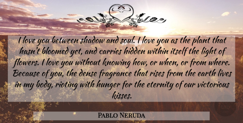 Pablo Neruda Quote About Flower, Love You, Kissing: I Love You Between Shadow...