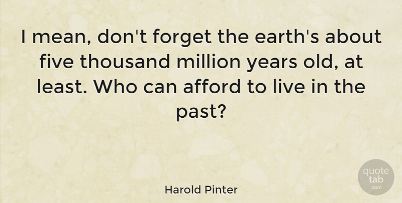 Harold Pinter Quote About Afford, Five, Forget, Million, Moving On: I Mean Dont Forget The...