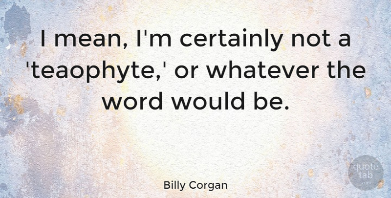 Billy Corgan Quote About Mean, Would Be: I Mean Im Certainly Not...