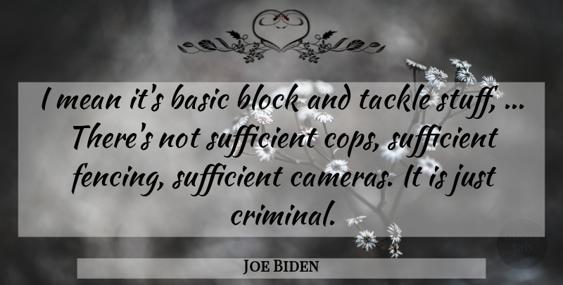 Joe Biden Quote About Basic, Block, Mean, Sufficient, Tackle: I Mean Its Basic Block...