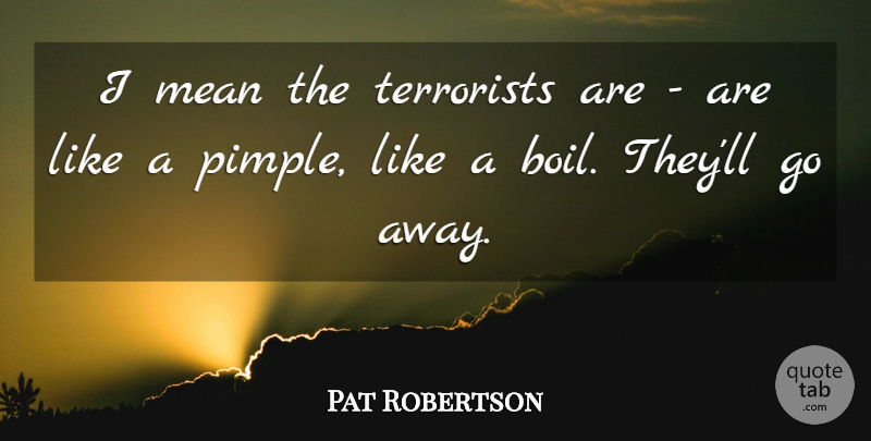 Pat Robertson Quote About Mean, Going Away, Pimples: I Mean The Terrorists Are...