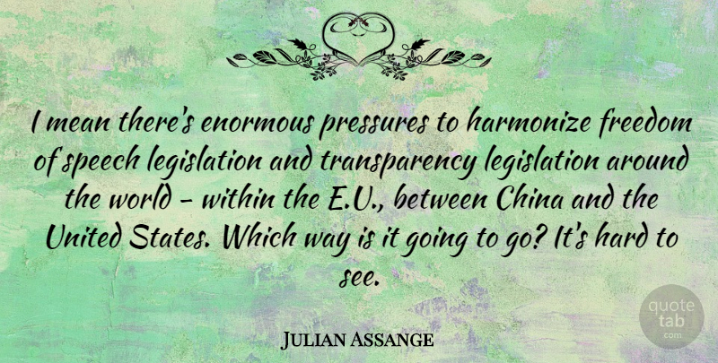 Julian Assange Quote About Mean, Freedom Of Speech, World: I Mean Theres Enormous Pressures...