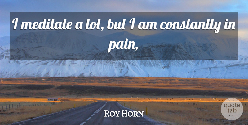 Roy Horn Quote About Constantly, Meditate, Pain: I Meditate A Lot But...