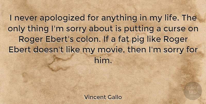 Vincent Gallo Quote About Sorry, Apology, Pigs: I Never Apologized For Anything...