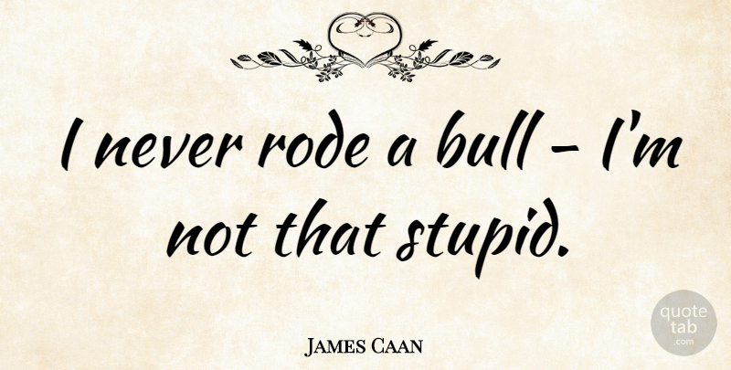 James Caan Quote About Stupid, Bulls: I Never Rode A Bull...