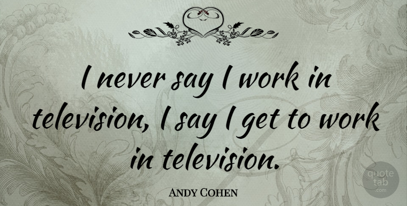 Andy Cohen Quote About Television: I Never Say I Work...
