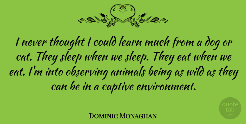 Dominic Monaghan Quote About Dog, Sleep, Cat: I Never Thought I Could...