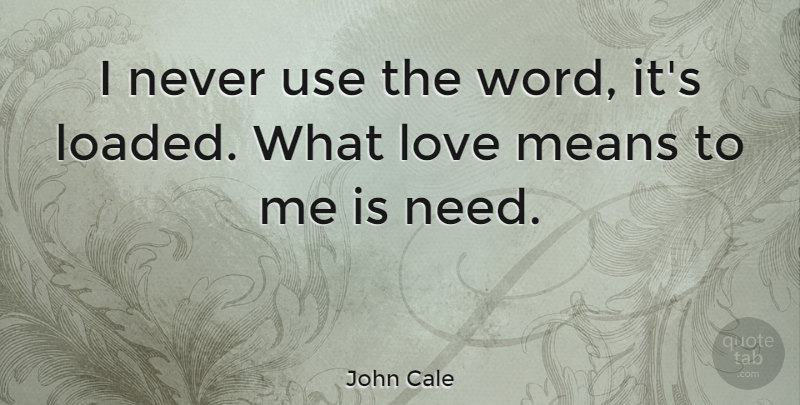 John Cale Quote About Mean, Use, Needs: I Never Use The Word...