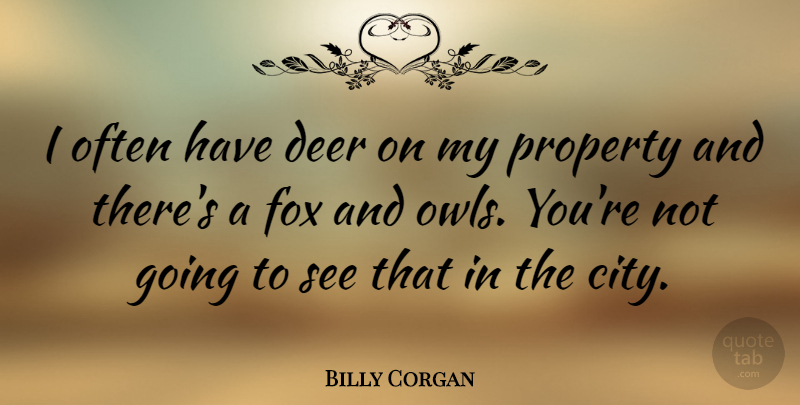 Billy Corgan Quote About Cities, Owl, Deer: I Often Have Deer On...