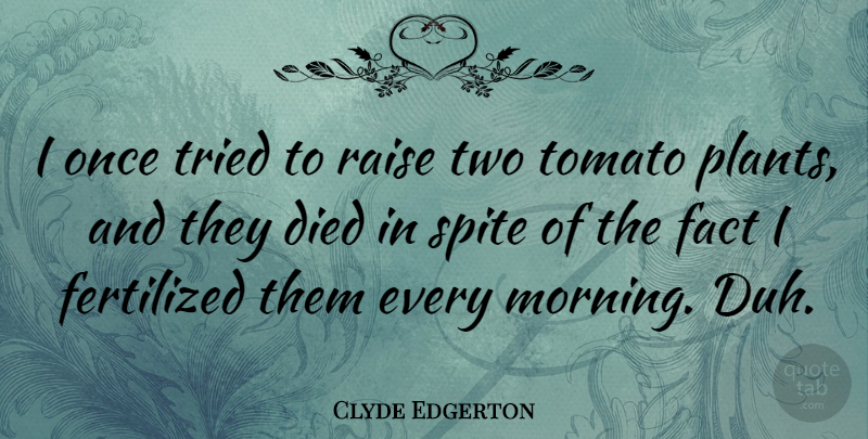 Clyde Edgerton Quote About Morning, Two, Tomatoes: I Once Tried To Raise...
