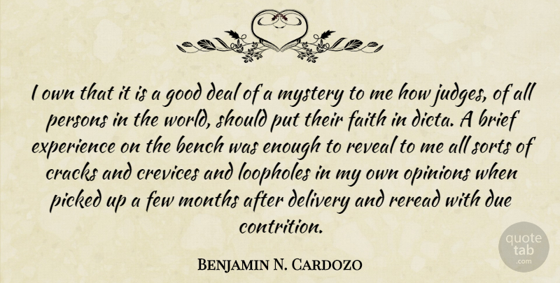 Benjamin N. Cardozo Quote About Bench, Brief, Cracks, Deal, Delivery: I Own That It Is...
