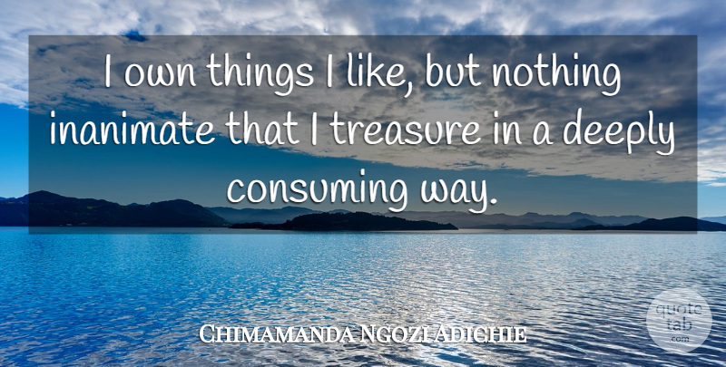 Chimamanda Ngozi Adichie Quote About Inanimate: I Own Things I Like...