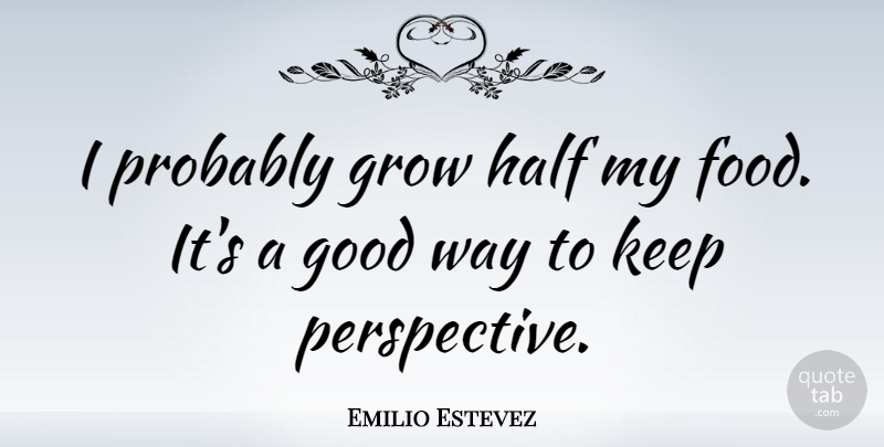 Emilio Estevez Quote About Perspective, Way, Half: I Probably Grow Half My...