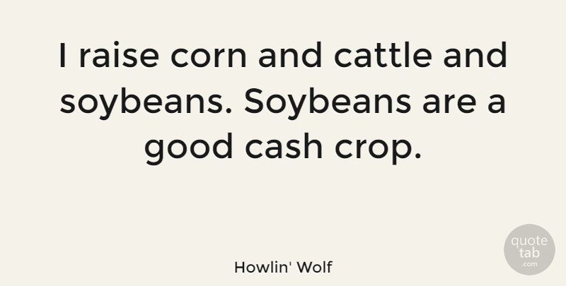 Howlin' Wolf Quote About Corn, Good, Raise: I Raise Corn And Cattle...