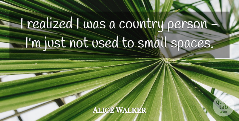 Alice Walker Quote About Country, Space, Used: I Realized I Was A...