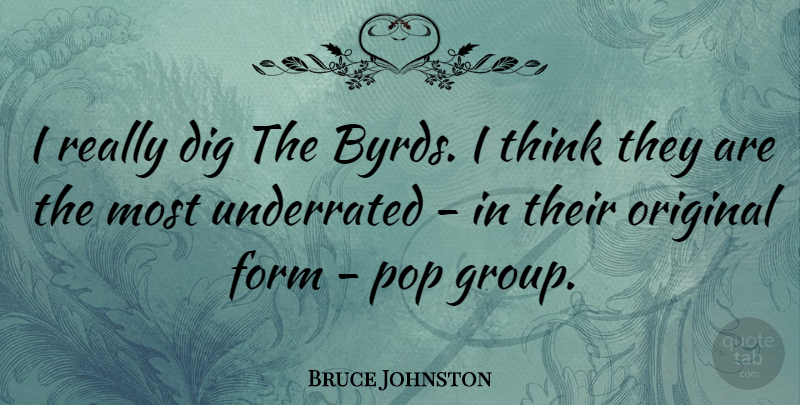 Bruce Johnston Quote About Dig, Form, Pop: I Really Dig The Byrds...