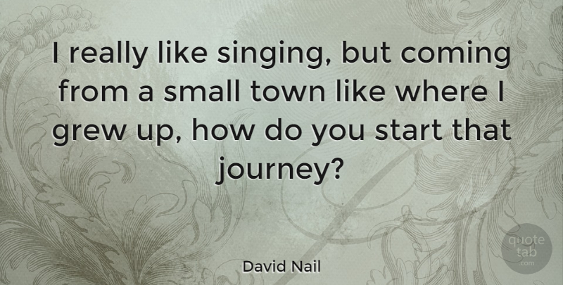 David Nail Quote About Journey, Singing, Towns: I Really Like Singing But...