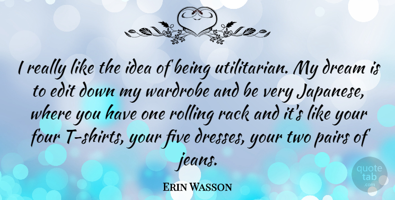 Erin Wasson Quote About Dream, Jeans, Ideas: I Really Like The Idea...