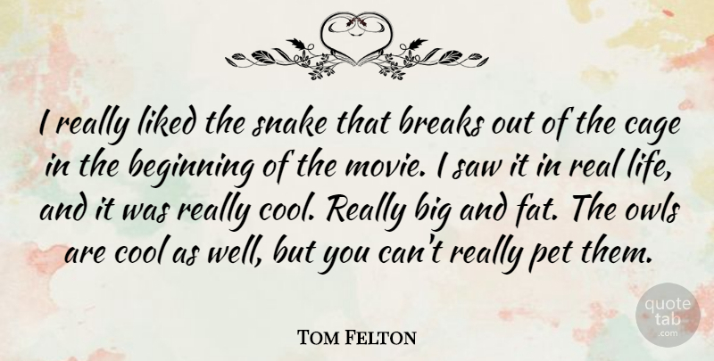 Tom Felton Quote About Real, Snakes, Owl: I Really Liked The Snake...