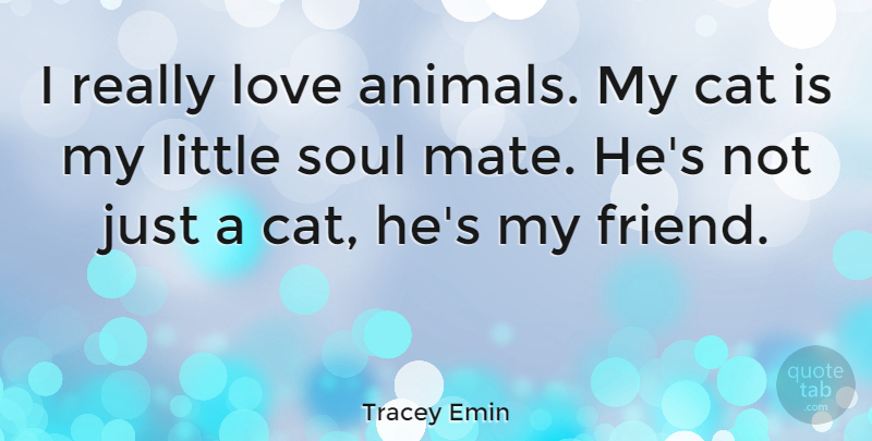Tracey Emin Quote About Cat, Animal, Soul: I Really Love Animals My...