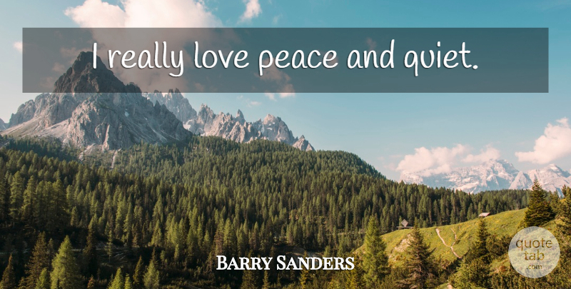 Barry Sanders Quote About Quiet, Peace And Quiet: I Really Love Peace And...
