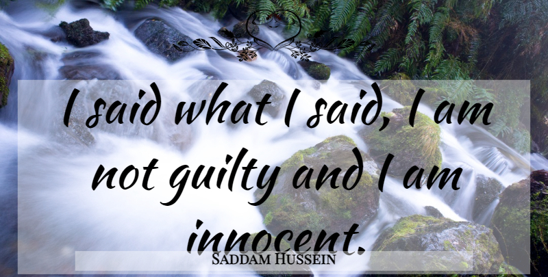 Saddam Hussein Quote About Guilty: I Said What I Said...