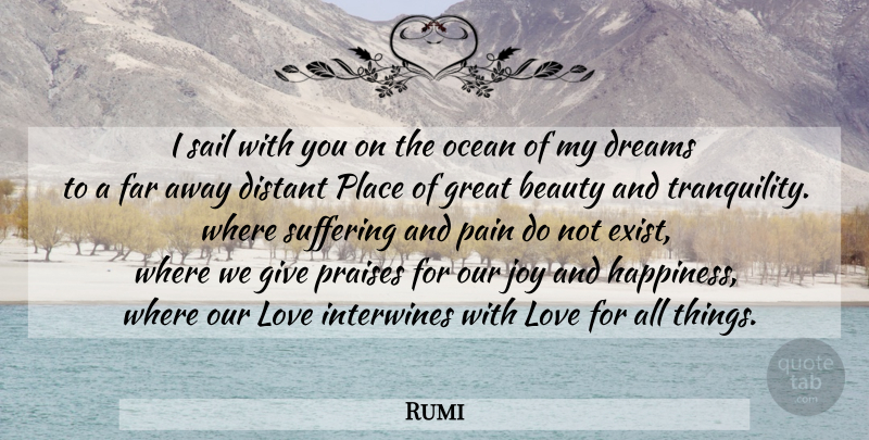 Rumi Quote About Dream, Pain, Ocean: I Sail With You On...