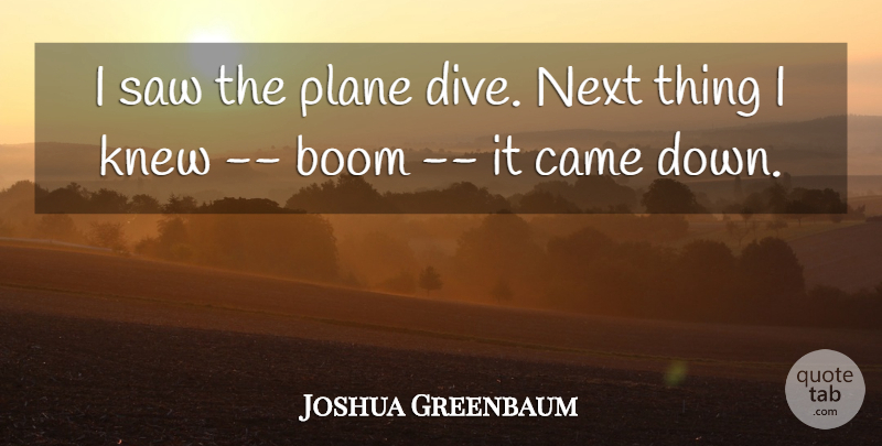 Joshua Greenbaum Quote About Boom, Came, Knew, Next, Plane: I Saw The Plane Dive...