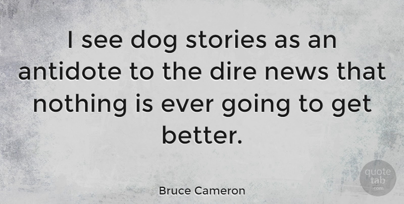 Bruce Cameron Quote About Dire, Stories: I See Dog Stories As...