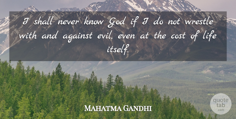 Mahatma Gandhi Quote About Evil, Cost, Knowing God: I Shall Never Know God...