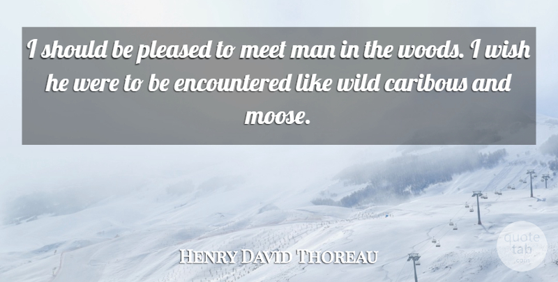 Henry David Thoreau Quote About Man, Meet, Pleased, Wild, Wish: I Should Be Pleased To...