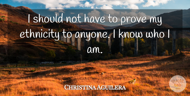 Christina Aguilera Quote About undefined: I Should Not Have To...