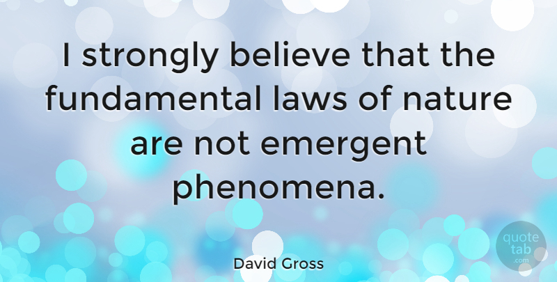David Gross Quote About Believe, Nature, Strongly: I Strongly Believe That The...