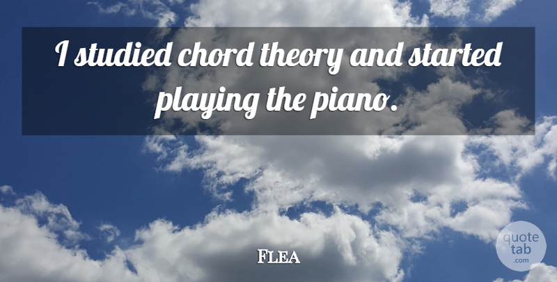 Flea Quote About Studied, Theory: I Studied Chord Theory And...