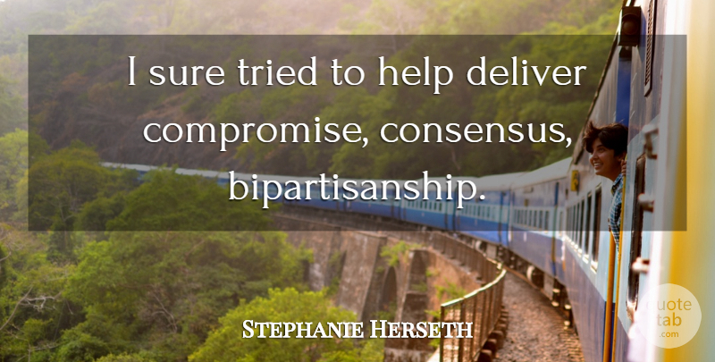 Stephanie Herseth Quote About Deliver, Sure: I Sure Tried To Help...