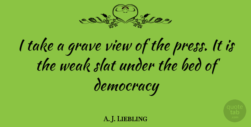A. J. Liebling Quote About Freedom, Views, Liberty: I Take A Grave View...