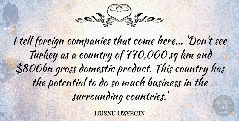 Husnu Ozyegin Quote About Business, Companies, Country, Domestic, Foreign: I Tell Foreign Companies That...