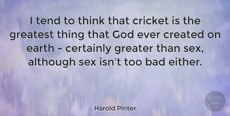 Harold Pinter Quote About Sex, Thinking, Cricket Match: I Tend To Think That...