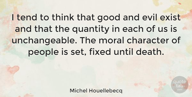 Michel Houellebecq Quote About Character, Thinking, Evil: I Tend To Think That...