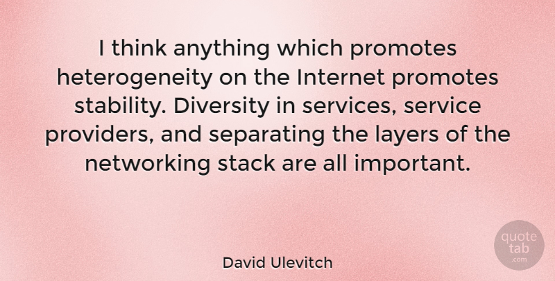 David Ulevitch Quote About Thinking, Diversity, Important: I Think Anything Which Promotes...