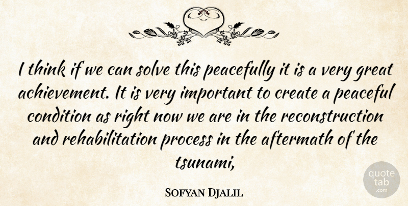 Sofyan Djalil Quote About Achievement, Aftermath, Condition, Create, Great: I Think If We Can...