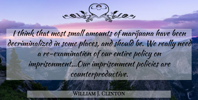 William J. Clinton Quote About Marijuana, Thinking, Examination: I Think That Most Small...