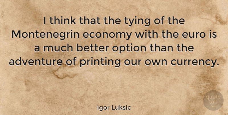 Igor Luksic Quote About Adventure, Economy, Euro, Option, Printing: I Think That The Tying...